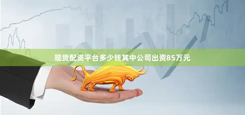 现货配资平台多少钱其中公司出资85万元