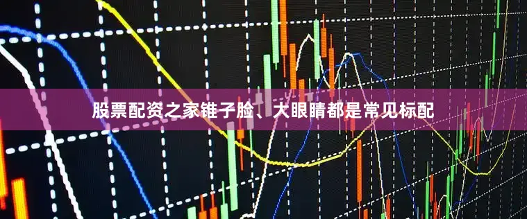 股票配资之家锥子脸、大眼睛都是常见标配